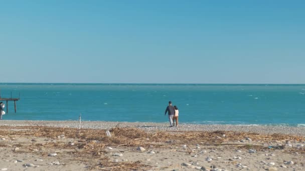 Dua pasangan berjalan di pantai — Stok Video