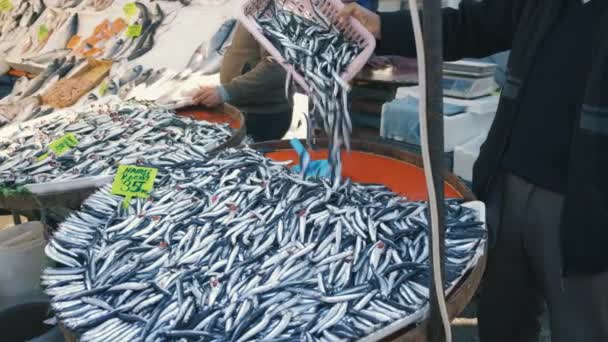 Hombre turco vendiendo anchoas frescas pescado — Vídeo de stock