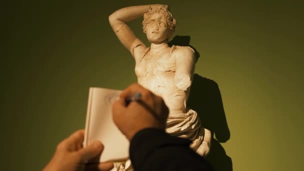 Dessin avec stylo statue en marbre femelle — Video