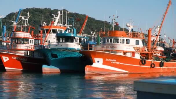 Dockat fiske Båtar i hamn — Stockvideo