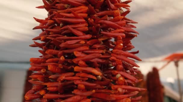 Pacote de pimentas vermelhas secas ao sol. — Vídeo de Stock
