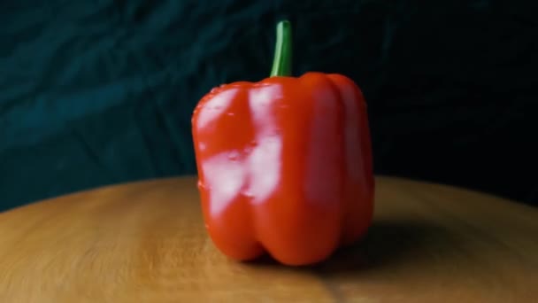 Roterande röd Paprika peppar — Stockvideo