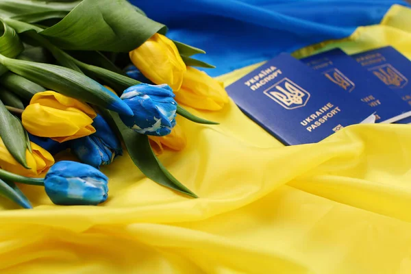 Pasaporte Ucraniano Para Viajar Otros Países Pasaporte Biométrico Internacional Ciudadano Imagen De Stock