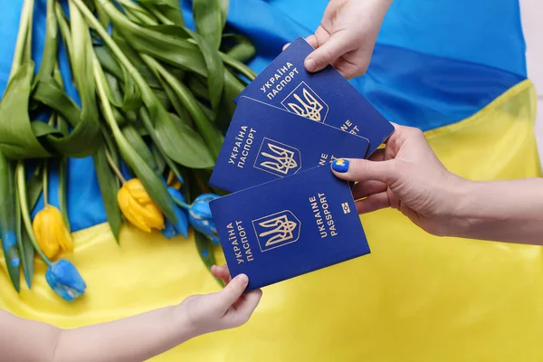 Ukraiński Paszport Podróży Innych Krajów Biometryczny Międzynarodowy Paszport Obywatela Ukrainy Obrazy Stockowe bez tantiem