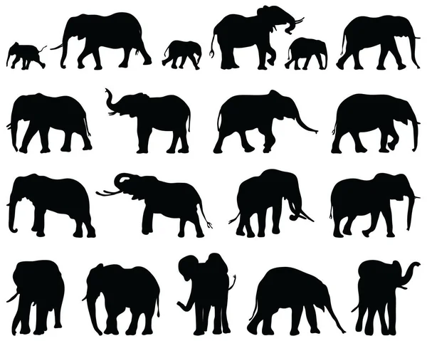 Schwarze Silhouetten Von Elefanten Auf Weißem Hintergrund — Stockvektor