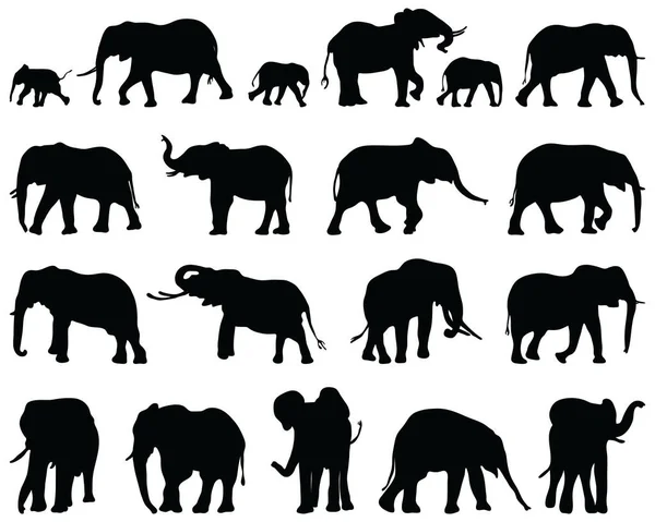 Silhouettes Noires Éléphants Sur Fond Blanc Vecteur En Vente