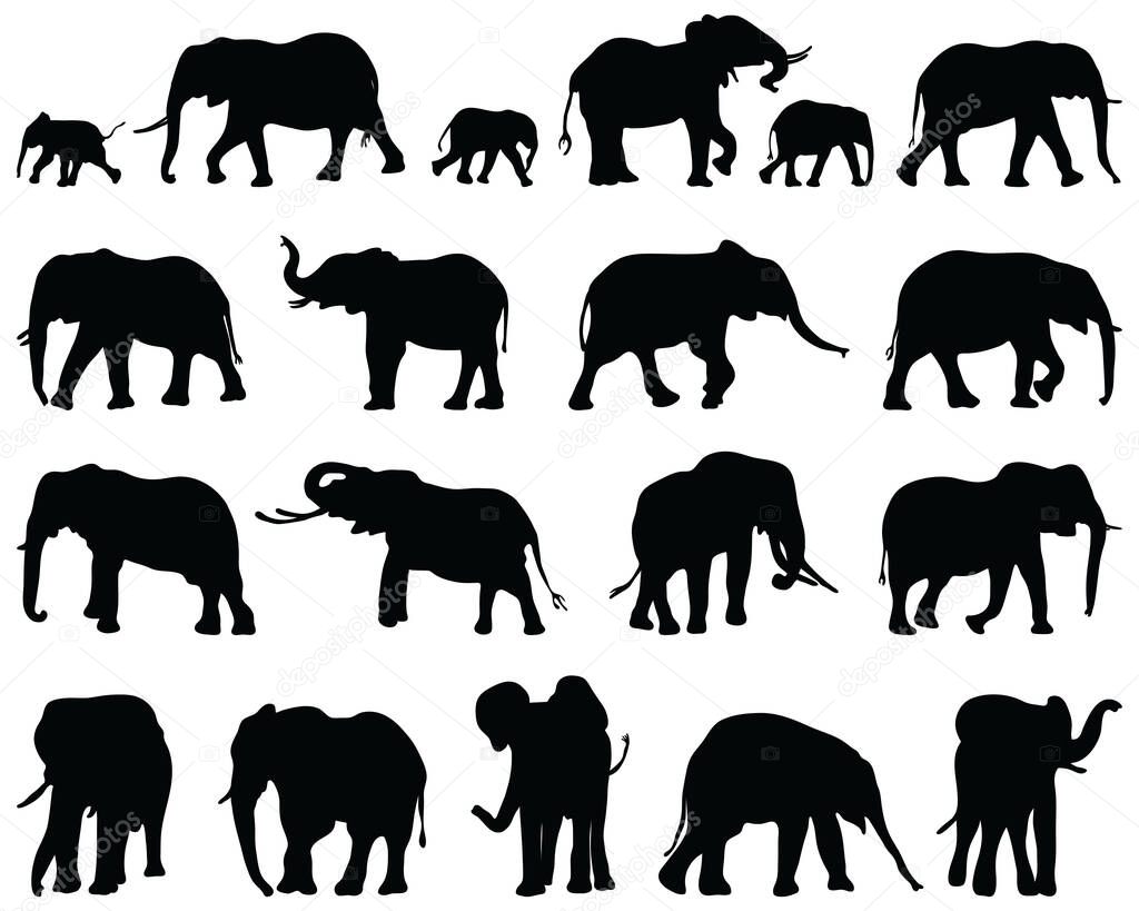 Black silhouettes of elephants on a white background