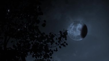 Dolunay Aspen Ağacı Silueti ve Total Ay tutulması 4K, büyük bir dolunayda siluetli kavak yapraklarının arasından ay tutulması yaratmak için bir gölge geçidi oluşturur..