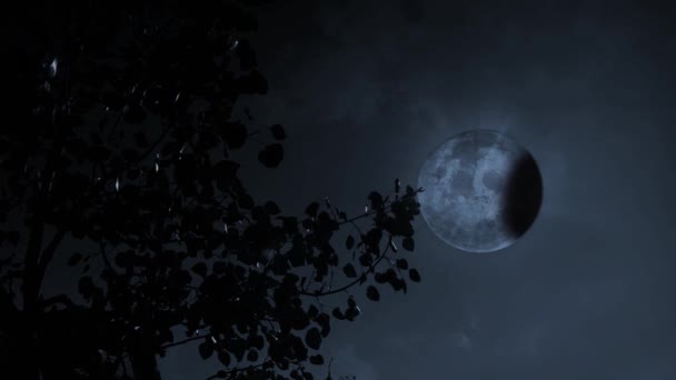 月全食4K的满月杨树剪影 透过满月的杨树剪影 呈现月全食的全景 — 图库视频影像