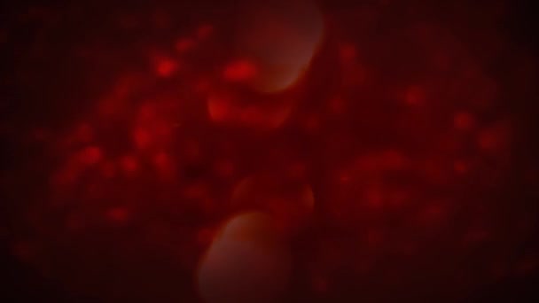 赤いボケの光暗い雰囲気4Kループは 背景に小さな円形のライトとループ内で前景に移動する大きなものと暗い赤い雰囲気を備えています — ストック動画