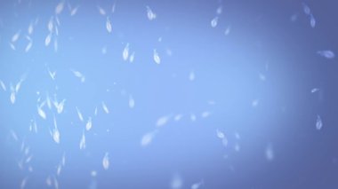 Mavi Atmosferdeki Dönen Beyaz Tüyler 4K Arkaplan 'da mavi bir atmosferde beyaz tüyler ekran boyunca kıvrılıp yüzüyor..