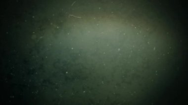 Yeşil Atmosferdeki toz ve Parçacıklar 4K döngüsünde toz ve farklı parçacıklar bir döngü içinde sisli yeşil bir atmosferde yüzerler..