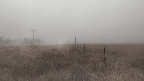 Cerca Alambre Púas Niebla Cuenta Con Video Estático Una Cerca — Vídeo de stock
