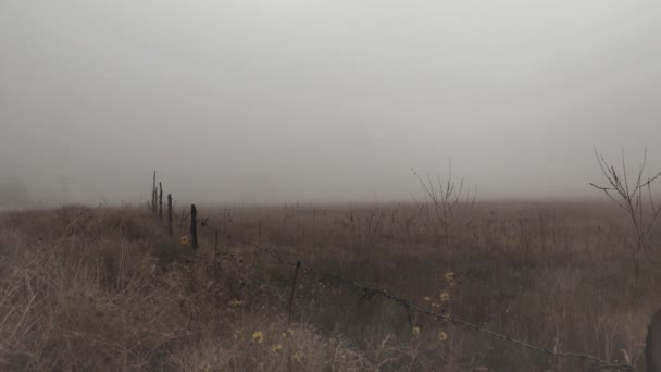 Cerca Alambre Púas Niebla Cuenta Con Video Estático Una Cerca — Vídeo de stock