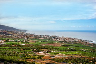 Tenerife 'deki La Orotava Vadisi' nin panoramik manzarası. Kanarya Adaları. Tenerife. İspanya