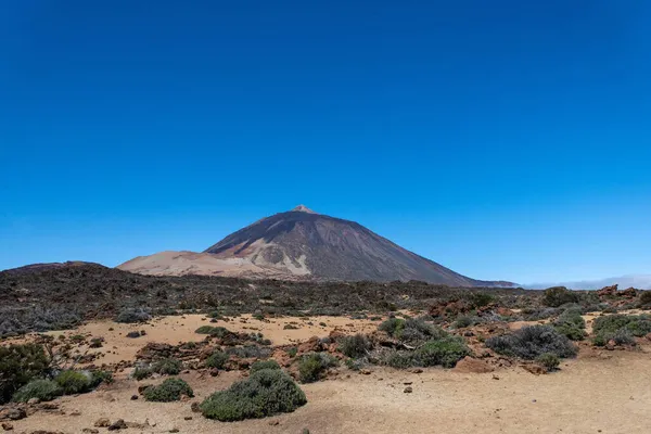 晴れた日にバックグラウンドでTeide火山とEl Teide国立公園 カナリア諸島 テネリフェ島 スペイン — ストック写真