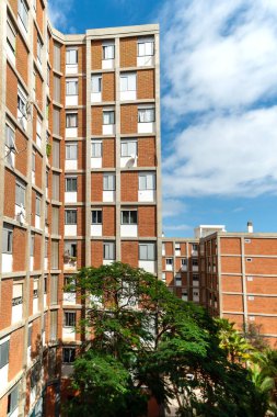 Santa Cruz 'da ağaçlarla çevrili modern binalar. Tenerife. Kanarya Adaları. İspanya