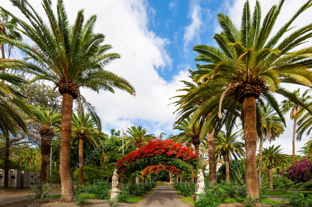 Garcia Sanabria park with flower arches in Santa Cruz. Tenerife. Canary Islands. Spain.