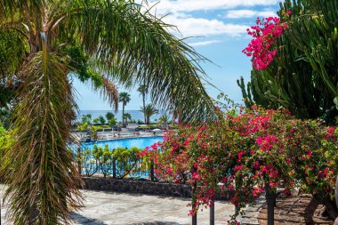Santa Cruz de Tenerife 'de tropik bitki örtüsü ve yüzme havuzları. Kanarya Adaları. İspanya