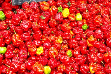Markette satılık bir kutuda kırmızı biber. Tenerife 'den Santa Cruz. İspanya