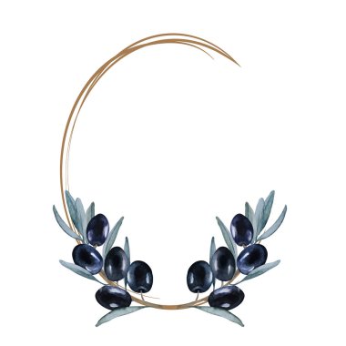 Zeytin dalı uzatılmış oval çerçeve. Beyaz arka planda siyah zeytin ve yapraklar. El çizimi suluboya çizimi. Boşluğu kopyala.