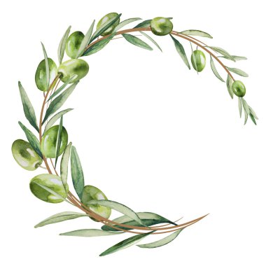  Yeşil zeytin dalından yuvarlak çelenk. Beyaz arka planda izole edilmiş. El çizimi suluboya çizimi. Boşluğu kopyala.