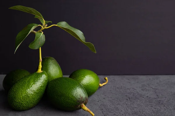 Pico Fruta Abacate Verde Madura Ramo Com Folhas Fundo Escuro — Fotografia de Stock