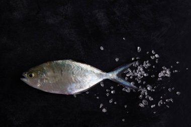 Taze gümüş balık ve esmer bir arka planda tuz. Akdeniz 'de balık tutmak. Alçak tuş.