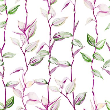Renkli Tradescantia bitkisinin kusursuz deseni. Açık pembe arka planda yaprakları olan dallar. El çizimi suluboya çizimi.