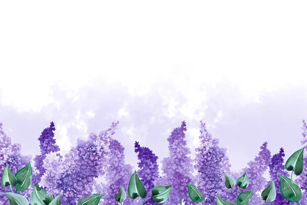 Endless field of lilac flowers with lilac fog on a white background. Hand drawn watercolor illustration. Copy space.