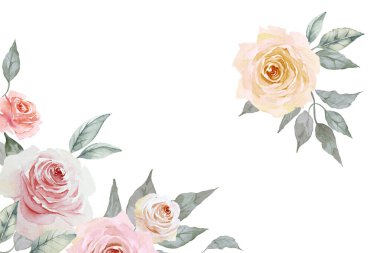 Krem kırmızısı ve pembe güllerin köşesi ve beyaz arka planda izole edilmiş bej bir gül ve yapraklar. El çizimi suluboya çizimi. Boşluğu kopyala.