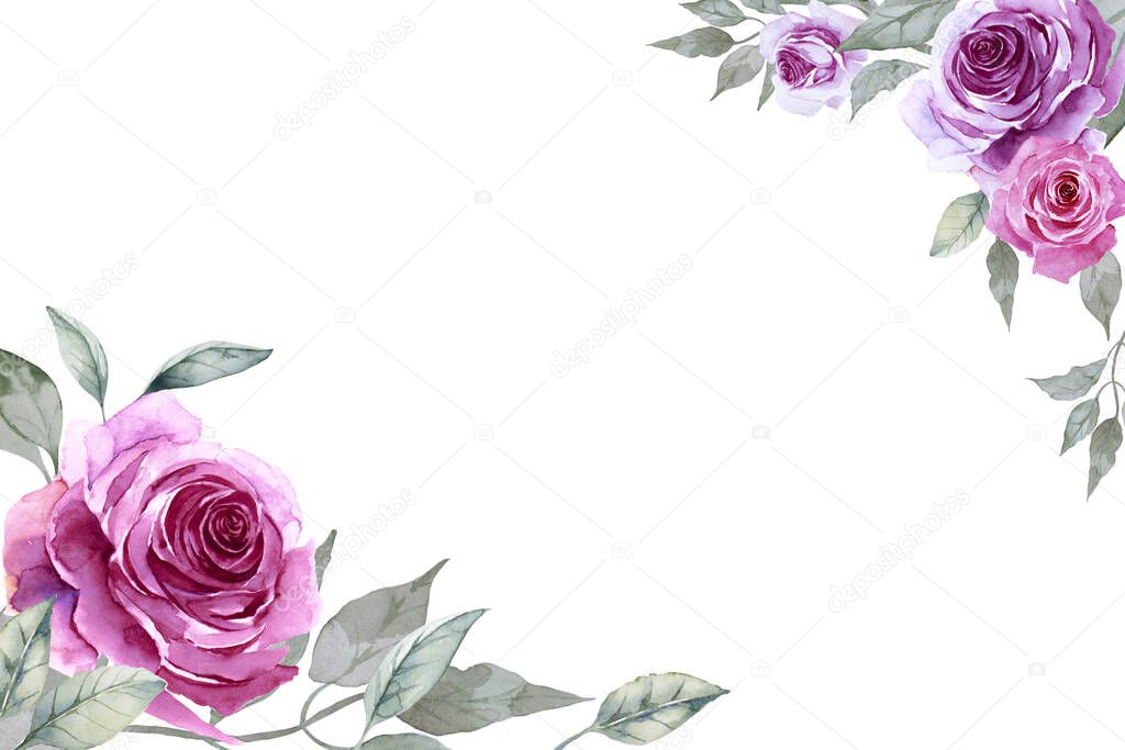 Two corner frame of beautiful purple roses and leaves on white background. Hand drawn watercolor illustration. Copy space.
