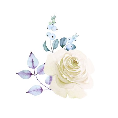 Narin beyaz gül çiçeği, beyaz arkaplanda yeşil ve mor yapraklı kar çileği dalları. Suluboya elle çizilmiş resim.