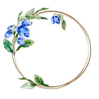 Mavi hanımeli dallı yuvarlak çerçeve ve beyaz arka planda izole edilmiş yapraklar. El çizimi suluboya çizimi. Boşluğu kopyala.