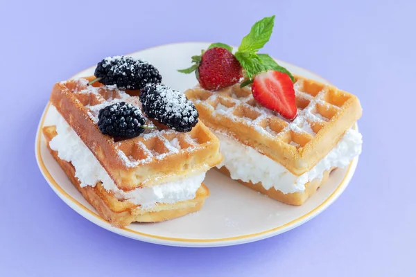 Köstliche Hausgemachte Belgische Waffeln Mit Schlagsahne Maulbeeren Erdbeeren Und Minzblättern — Stockfoto