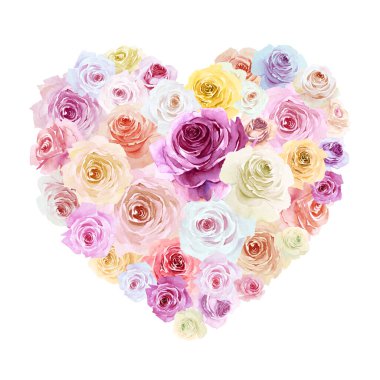 Beyaz, pembe, kırmızı, leylak ve mor güllerden yapılmış, beyaz arka planda izole edilmiş renkli kalp figürü. El çizimi suluboya çizimi.