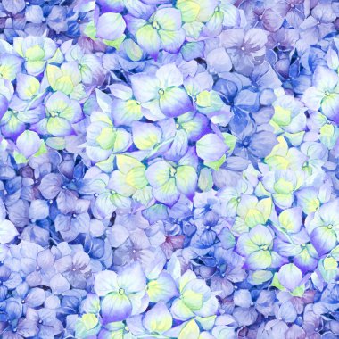 Seamless floral pattern of blue-yellow and lilac hydrangea. Botanical flower background. Hand drawn watercolor illustration.