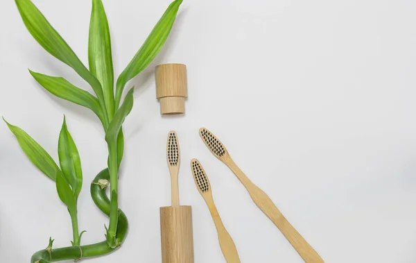Bambu Sikat Gigi Dan Pemegang Sikat Gigi Konsep Zero Waste — Stok Foto