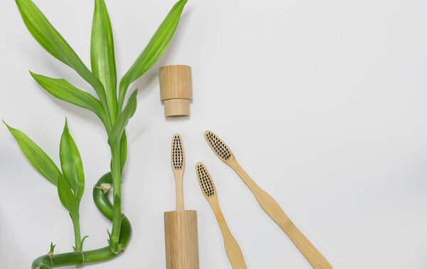 Bamboo toothbrushs and  toothbrush holder. Zero waste concept