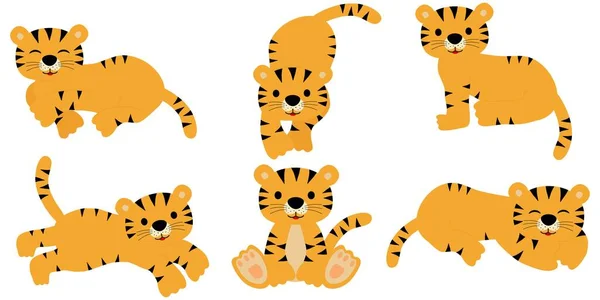 Set of cute tiger in different poses. The tiger stands, lies, goes, sits, sleeps, leaps. Vector illustration
