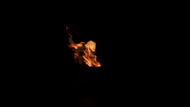 在黑色背景的风中燃烧着火焰 气体燃烧器 永恒的火焰 复制空间 — 图库视频影像