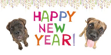 Köpekli yeni yıl kartın kutlu olsun, Bullmastiff. 