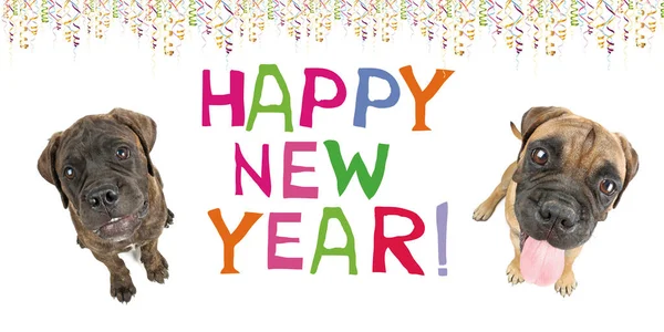 Köpekli yeni yıl kartın kutlu olsun, Bullmastiff. 