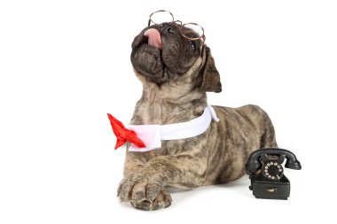 Kırmızı papyon, gözlük ve beyaz üzerine izole edilmiş eski bir telefon.