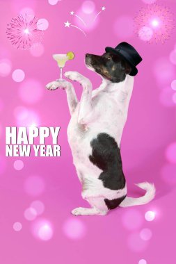Yeni yılı pembe arka planda kutlayan bardaklı bir köpek. 