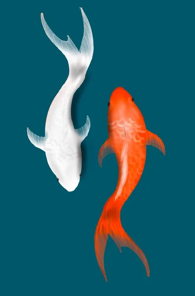 Kelompok Ilustrasi Ikan Koi Berenang — Stok Foto