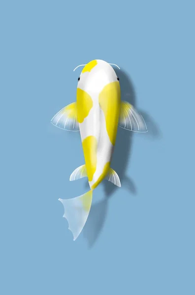 Иллюстрация Плавания Карпа Кои — стоковое фото