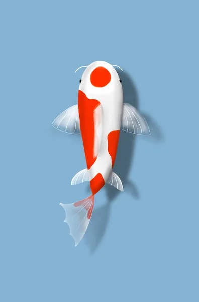 Ilustrasi Ikan Mas Koi Berenang — Stok Foto