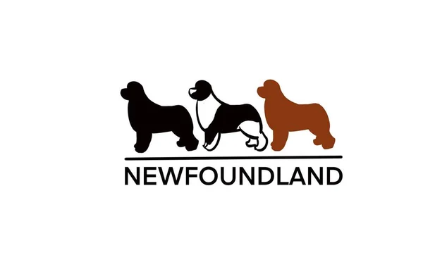 Logo Anjing Newfoundland Dalam Warna Hitam Coklat Hitam Dan Putih Stok Gambar Bebas Royalti