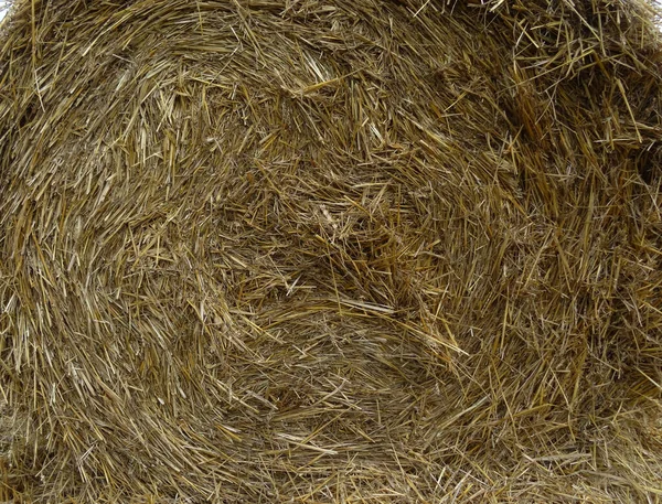 Pressed Hay Detailed Texture Backgroundpressed Hay Detailed Texture Background — стоковое фото